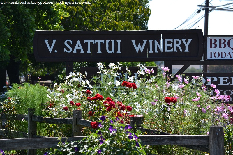 V. Sattui Winery