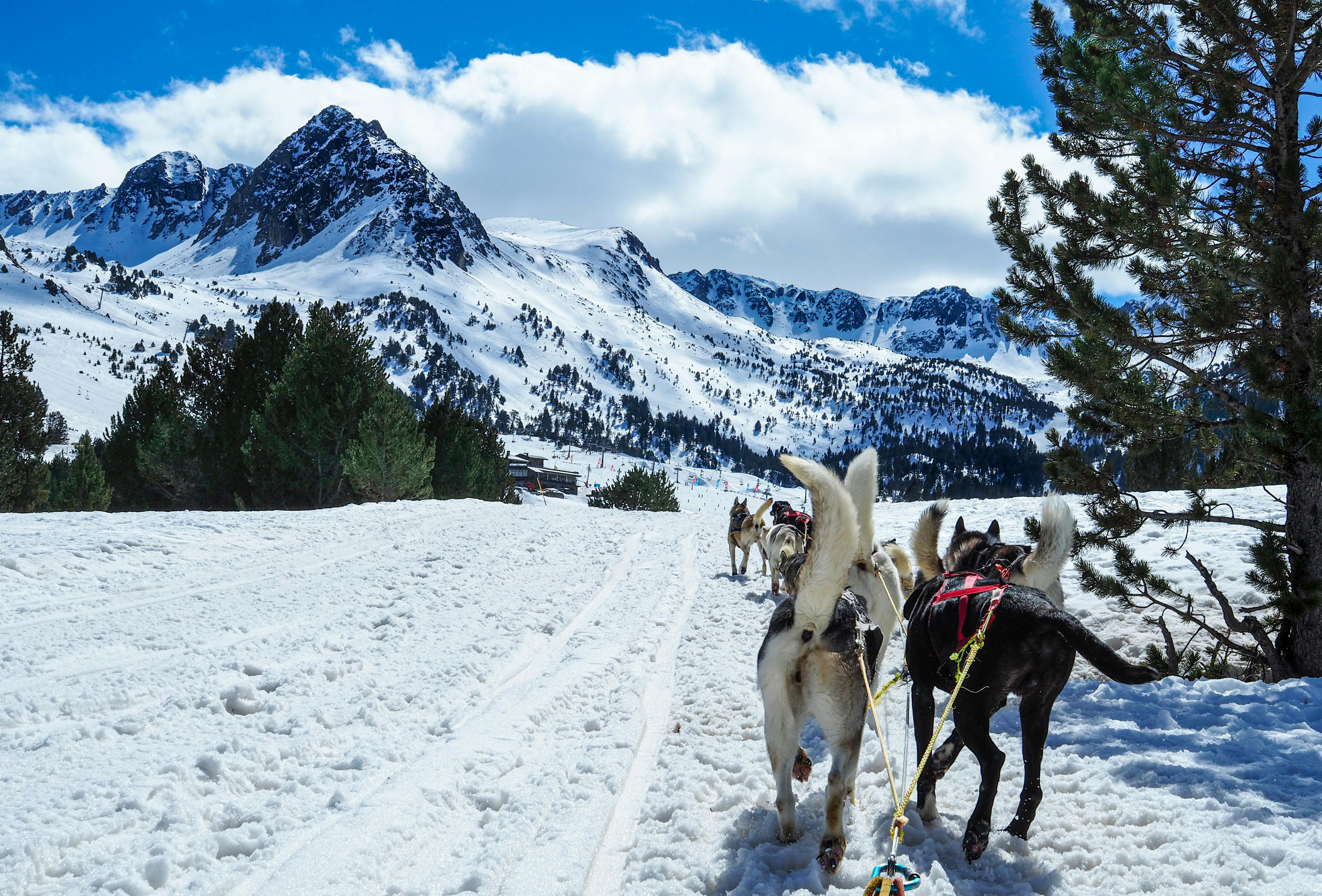 Vall d'Incles