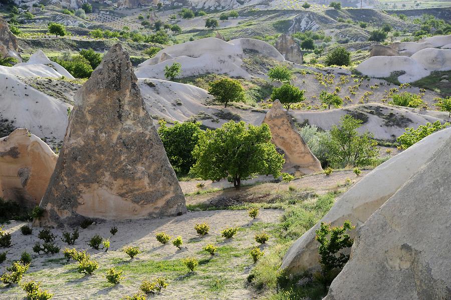 Valley of the Monks