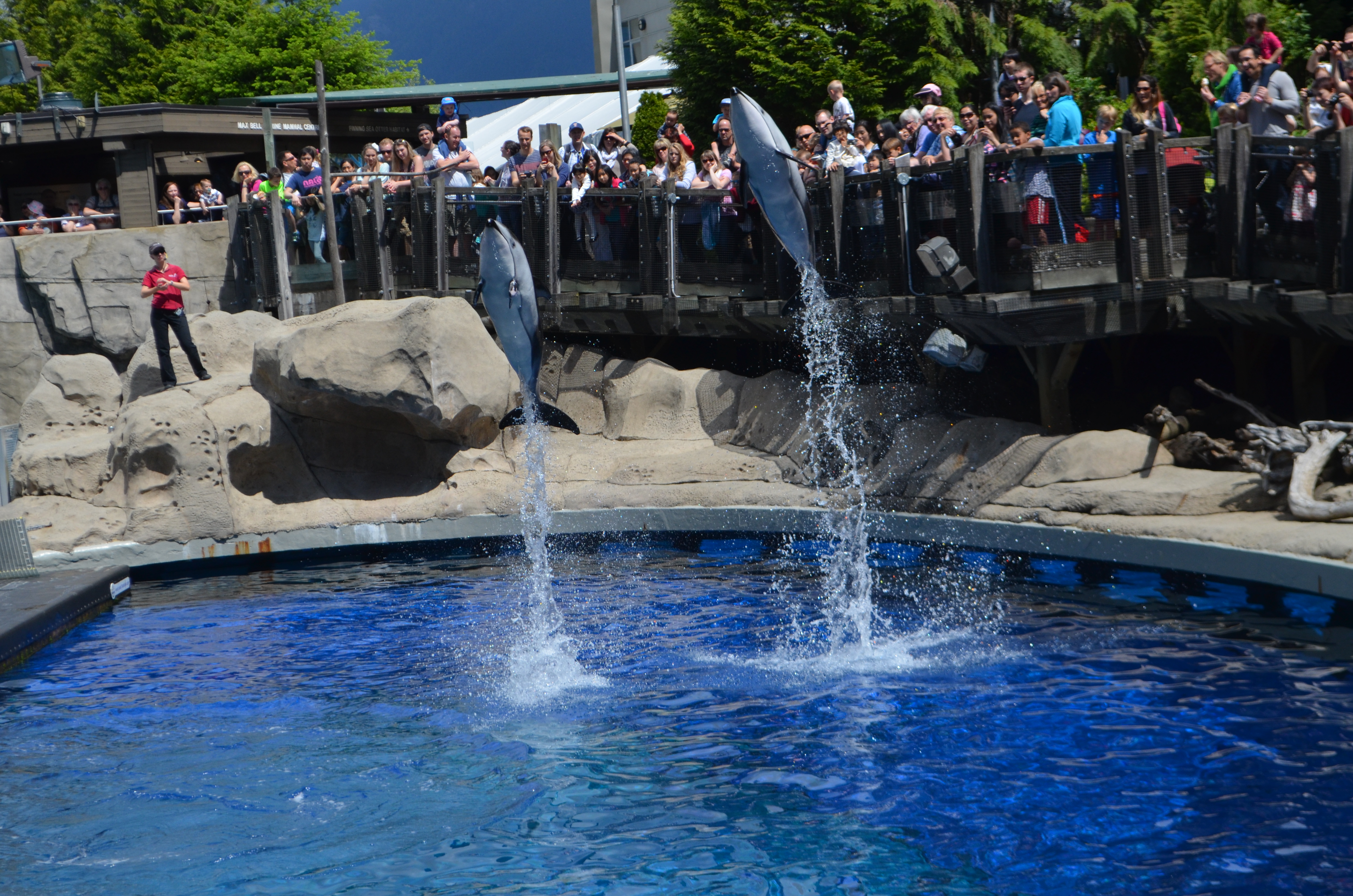 Vancouver Aquarium