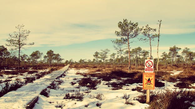 Vilsandi National Park