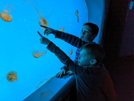 Virginia Aquarium & Marine Science Center