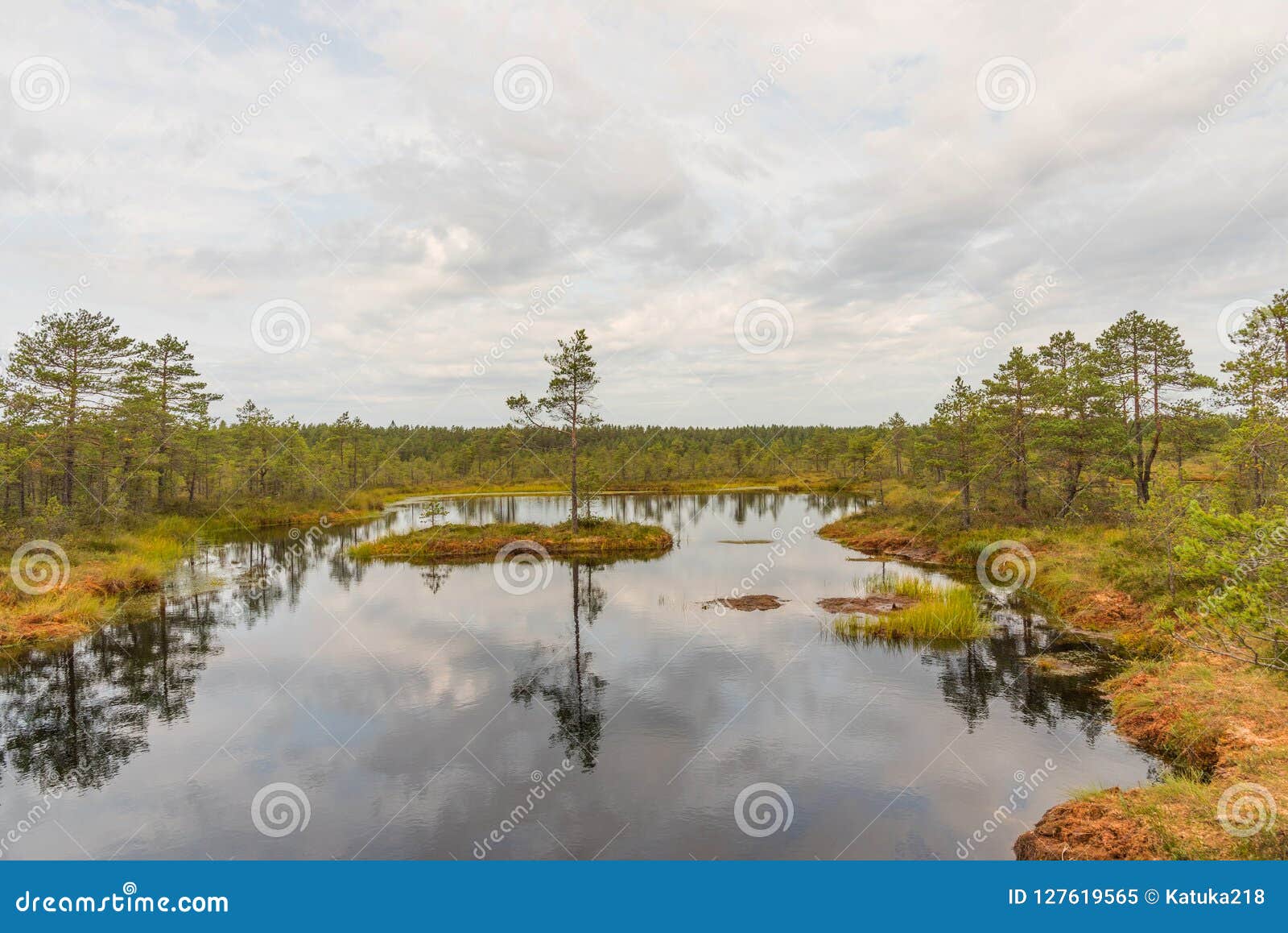 Viru Bog Trail