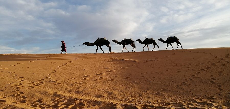 Visit to a Nomad Family at Desert Camp