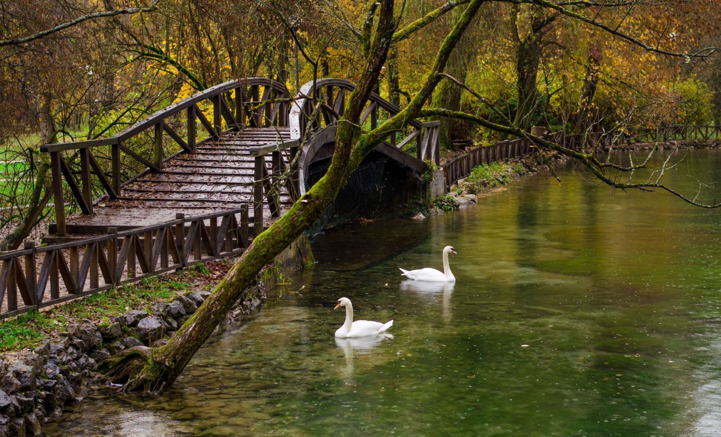 Vrelo Bosne