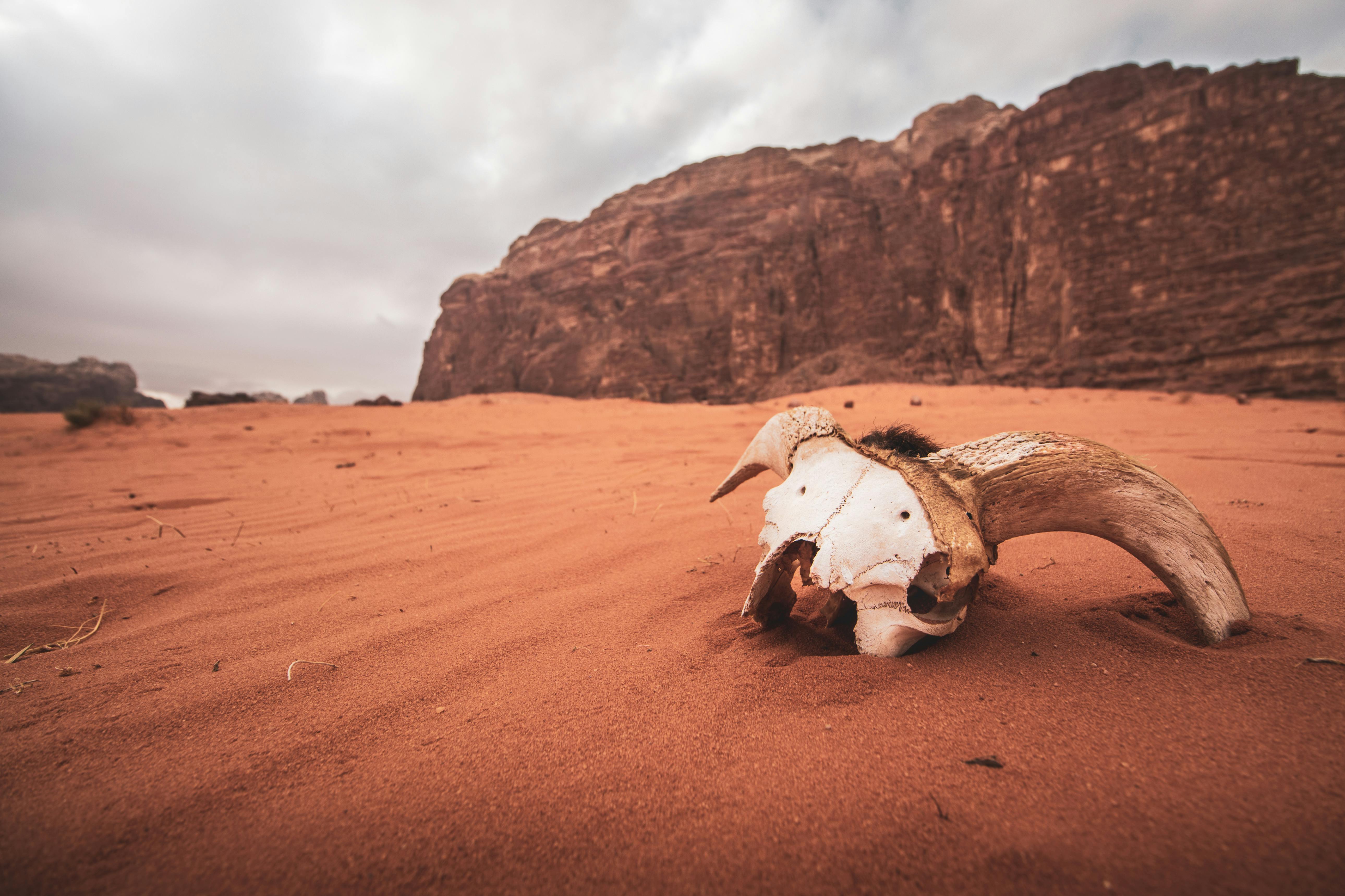 Wadi Rum