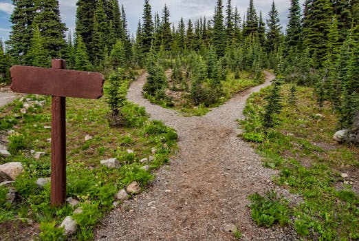 Walker's Woods Trail