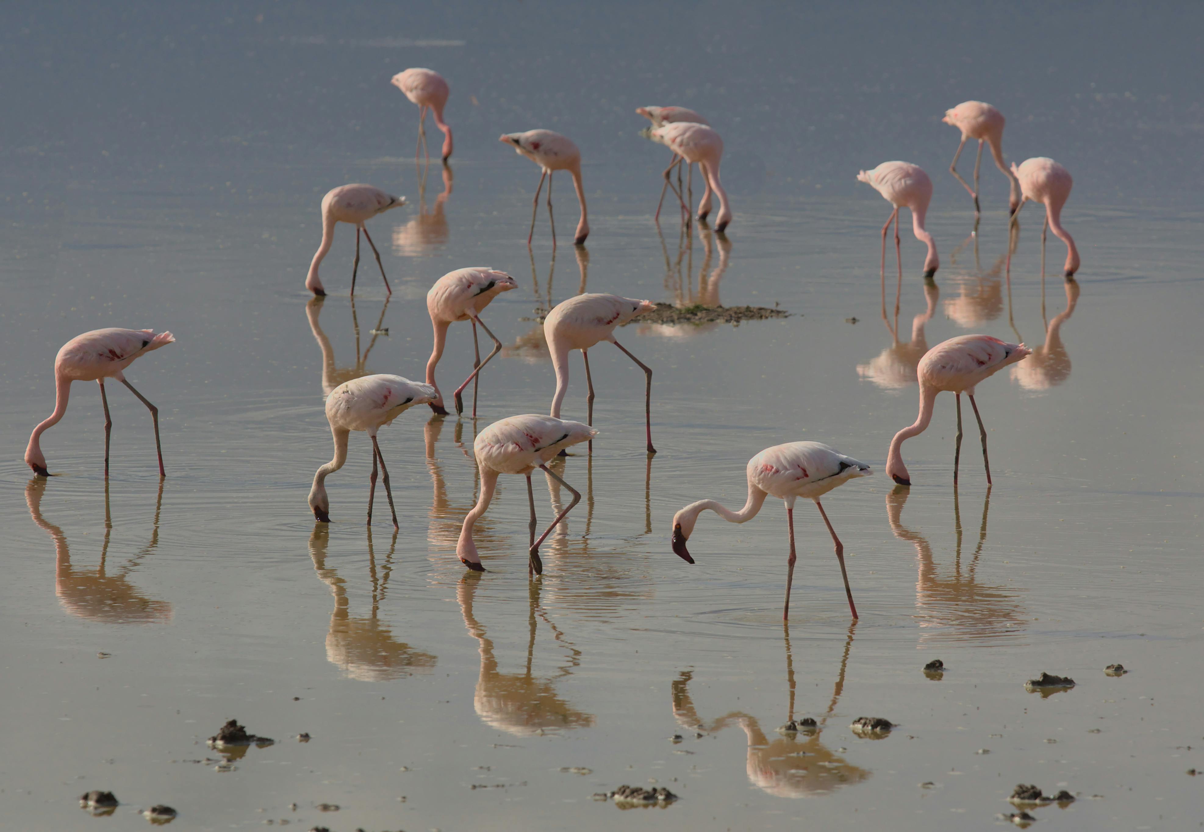 Walking Safari in Lake Mburo National Park