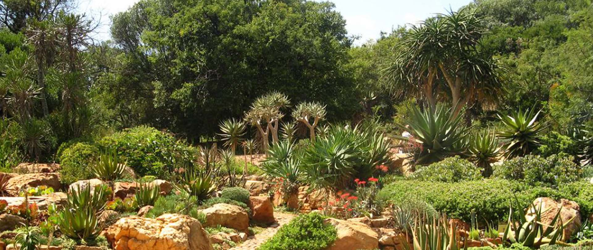 Walter Sisulu National Botanical Garden