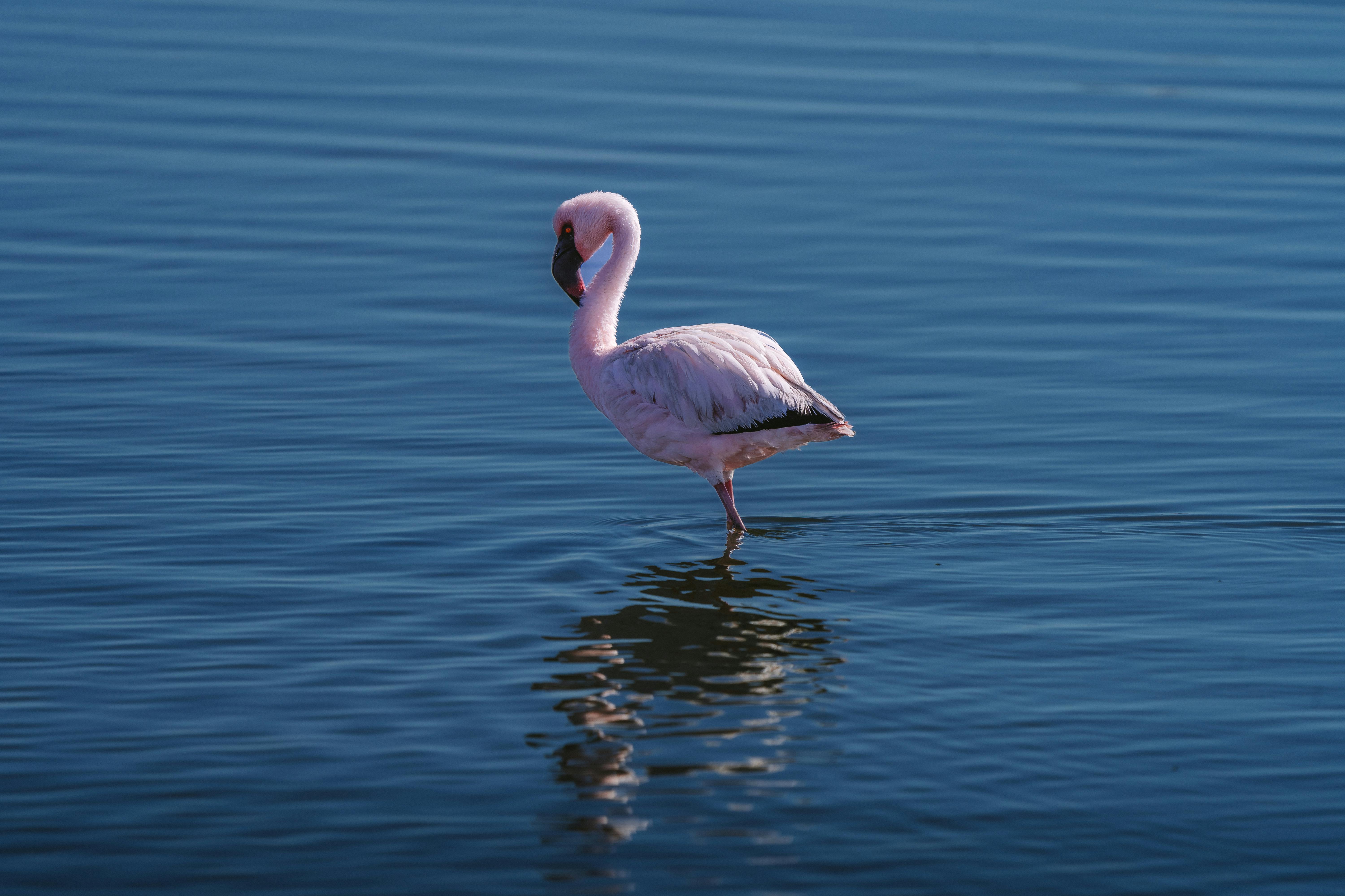 Walvis Bay Lagoon