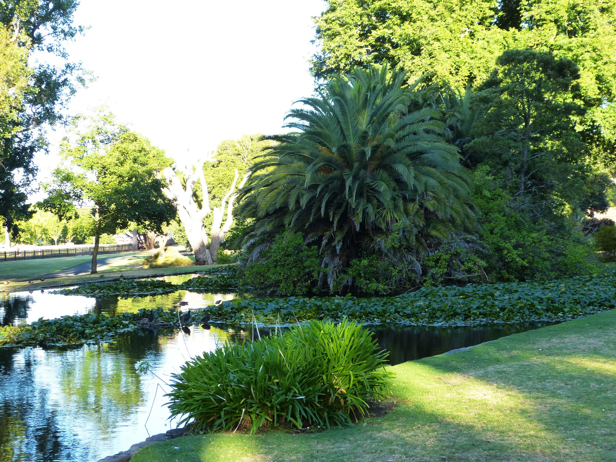 Warrnambool Botanic Gardens