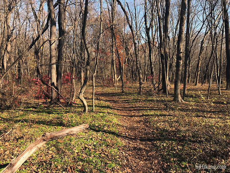 Washington Crossing State Park