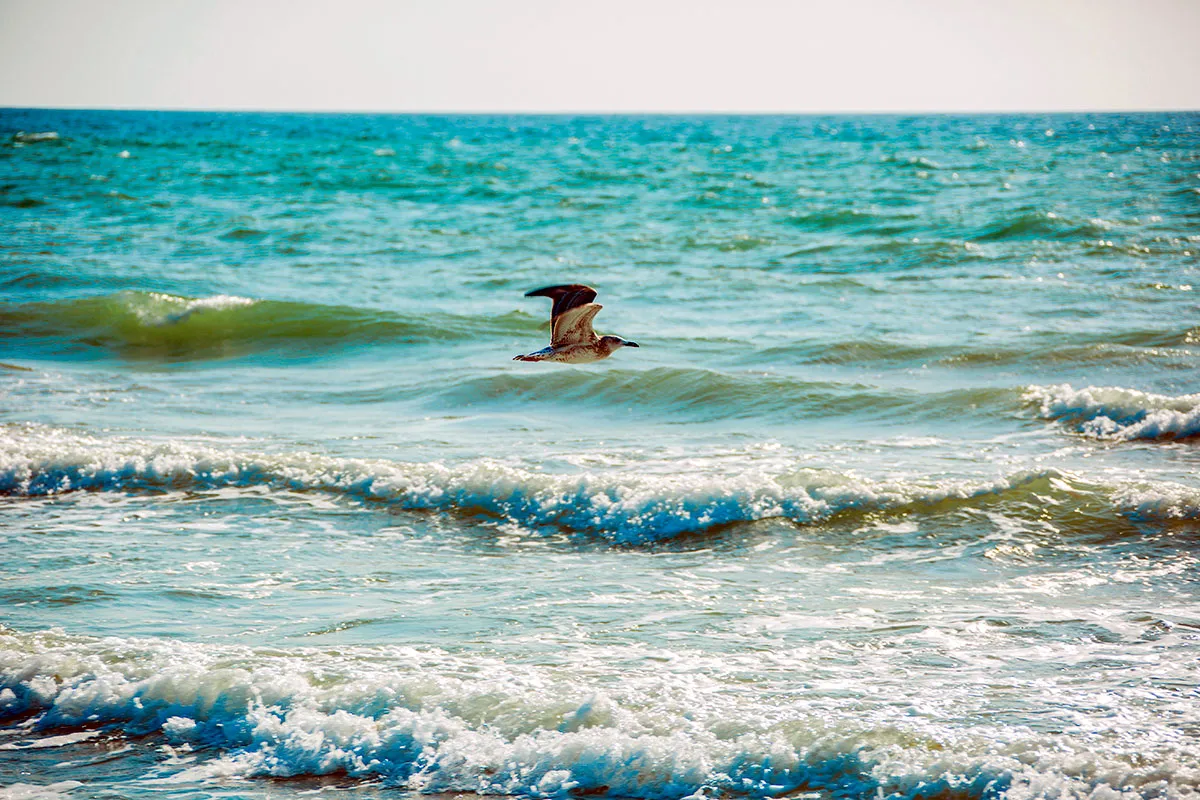 Water Sports in the Caspian Sea