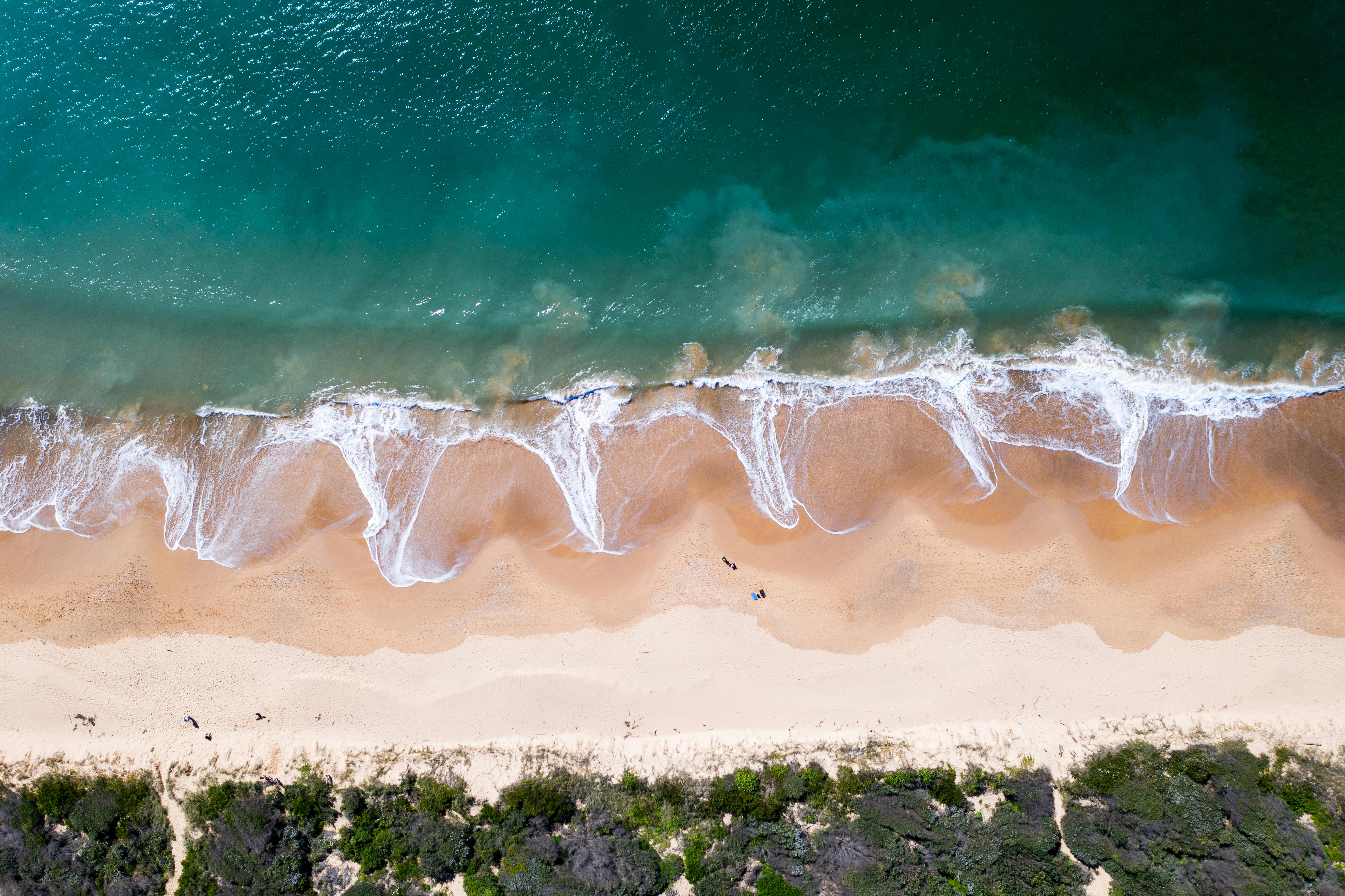 Wave Lagoon