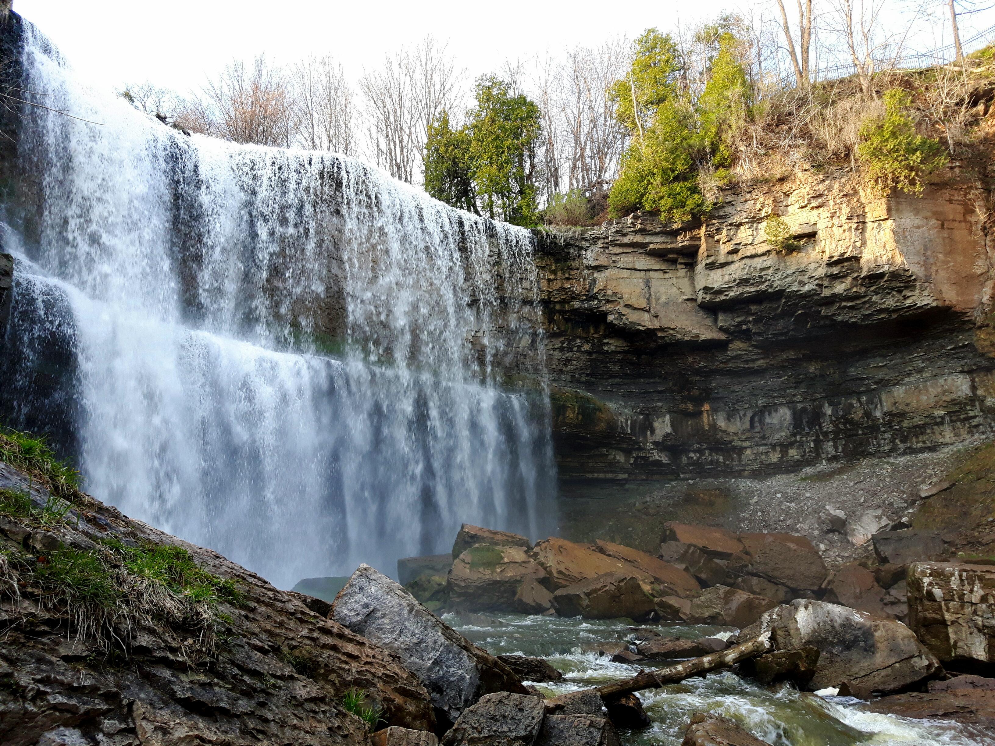 Webster's Falls