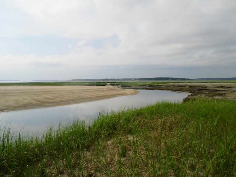 Wellfleet Bay Wildlife Sanctuary