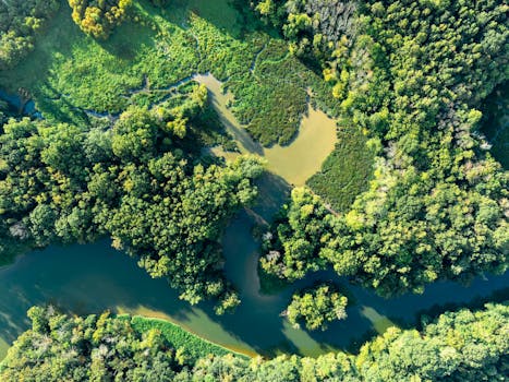 Wesselman Woods Nature Preserve