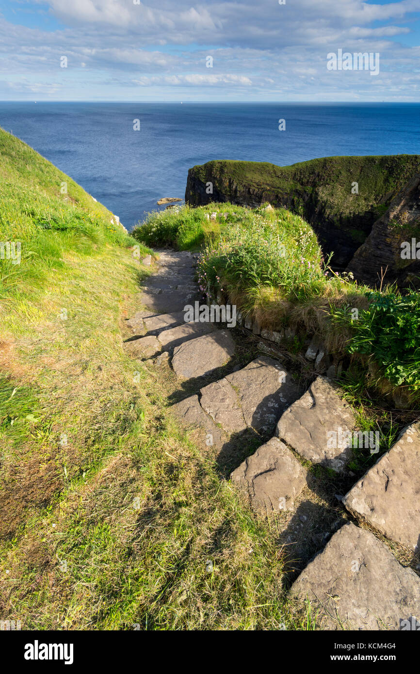 Whaligoe Viewpoint