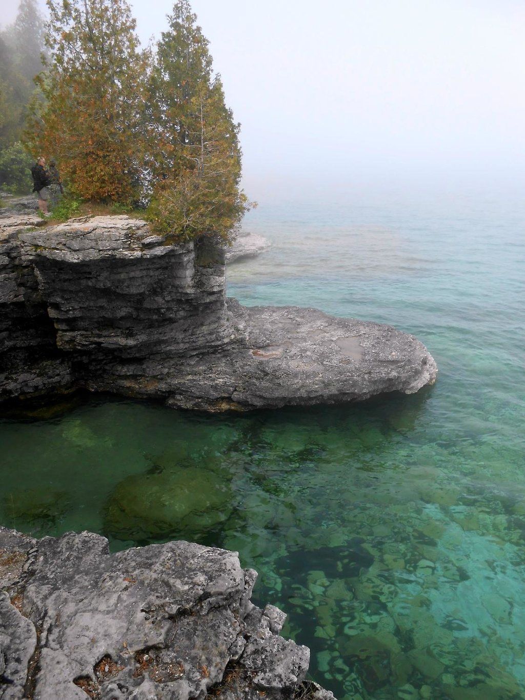 Whitefish Dunes State Park