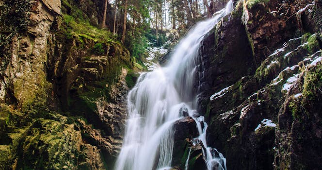 Wild Waterfall