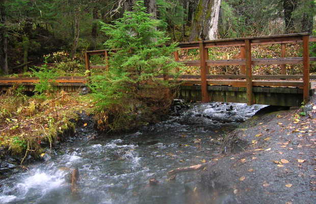 Winner Creek Trail