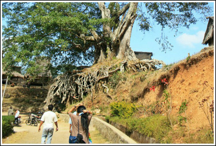 Wologai Traditional Village