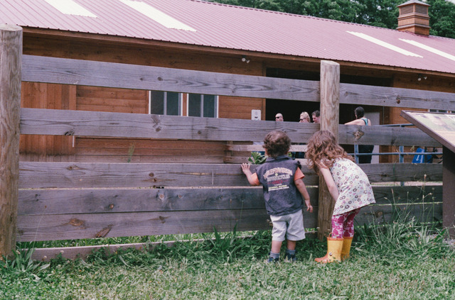 Woodstock Farm Sanctuary