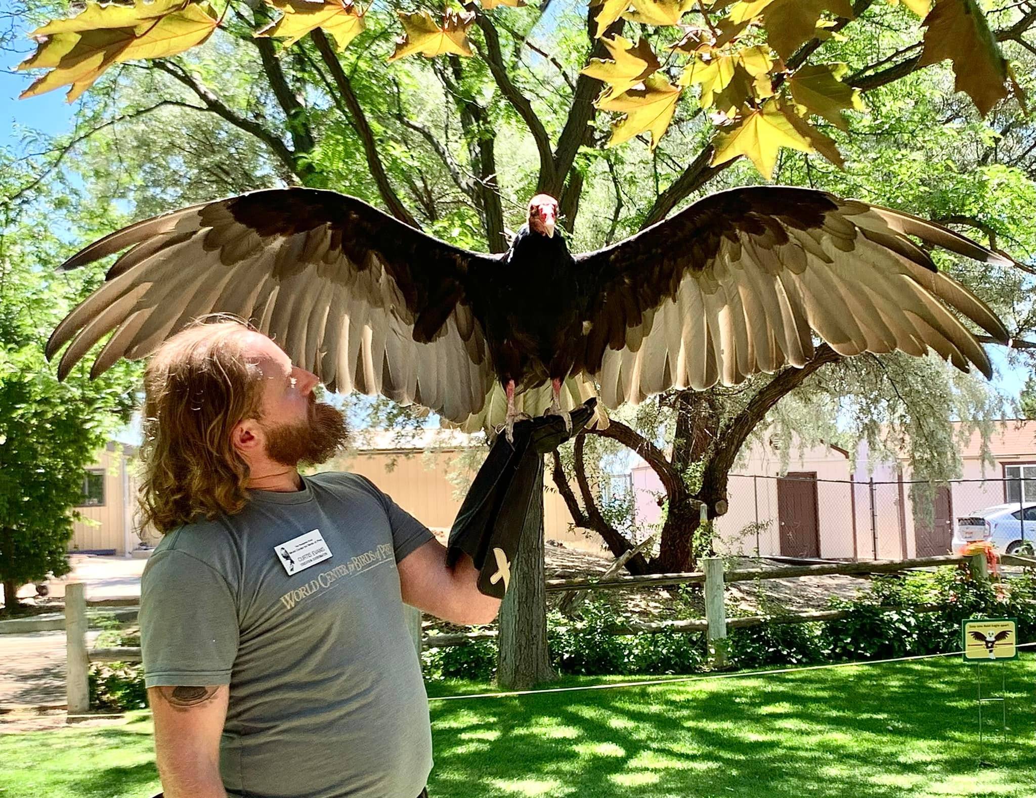 World Center for Birds of Prey