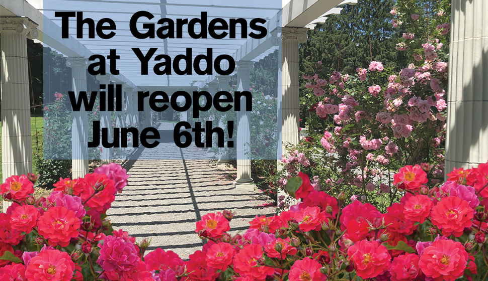 Yaddo Gardens