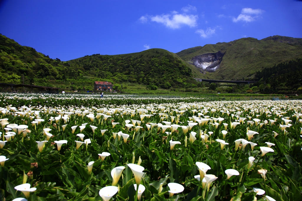 Yangmingshan National Park