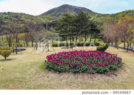 Yeonggwang Arboretum