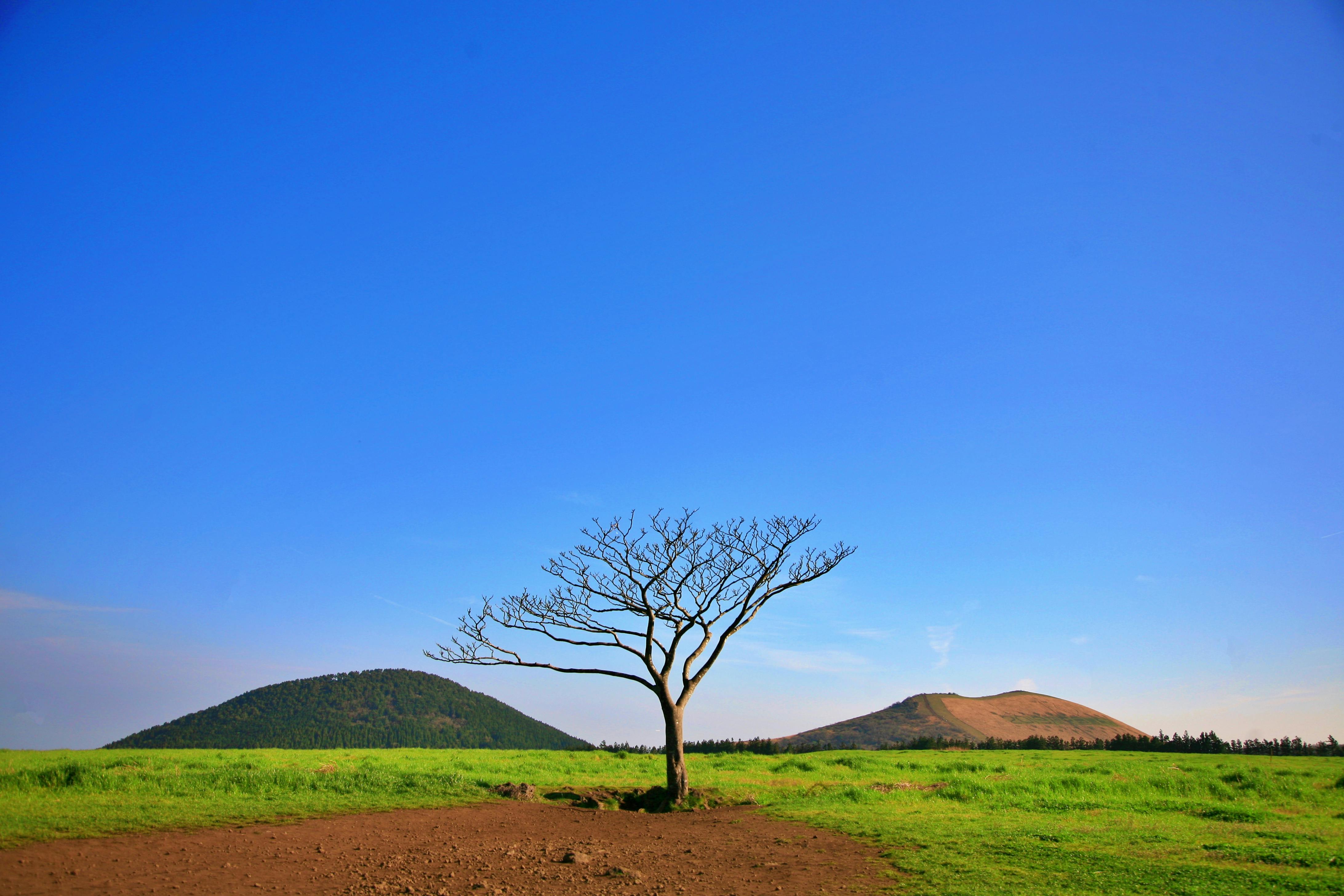 Yongduam Rock