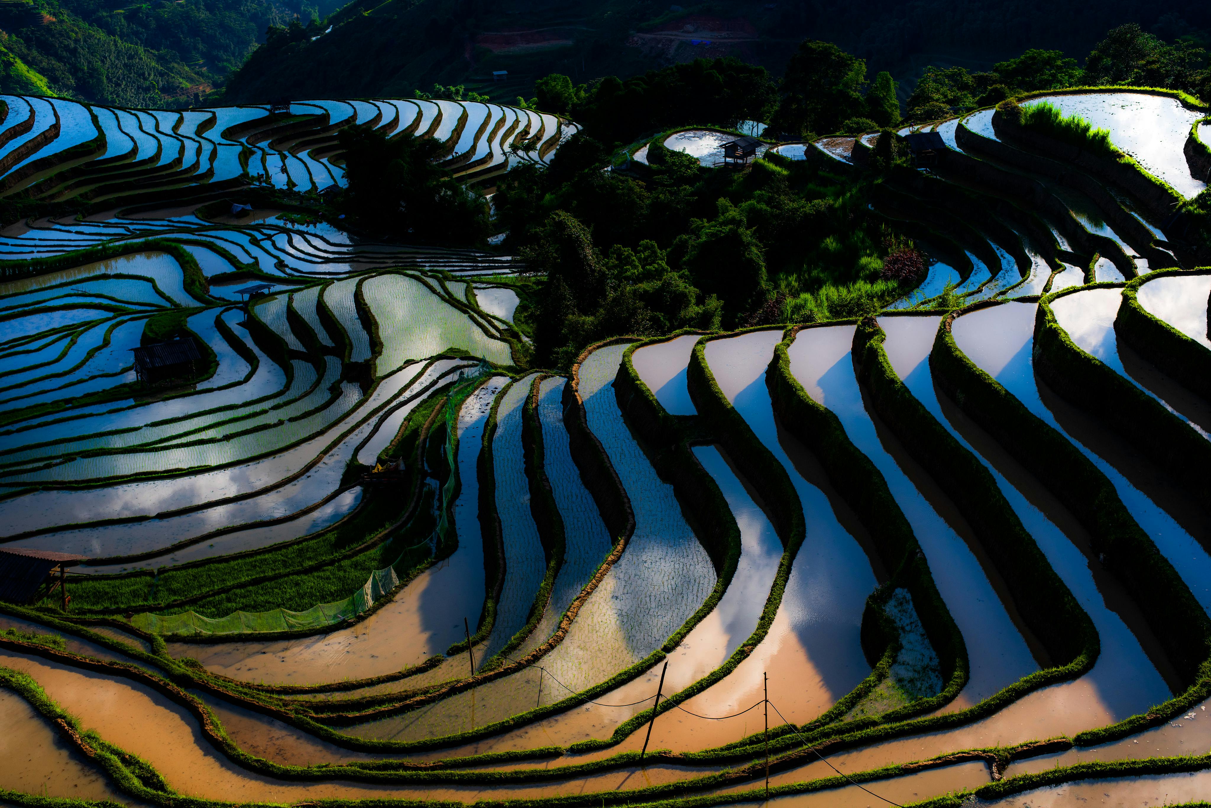 Yuanyang Rice Terraces