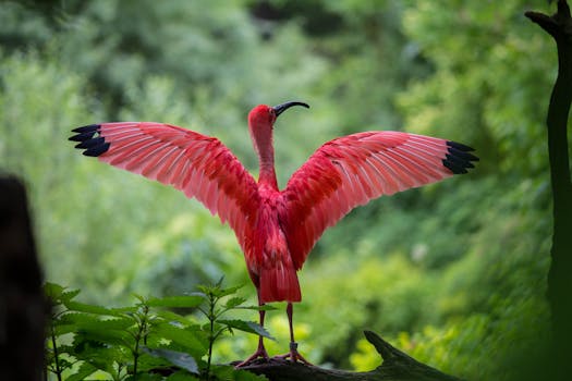 ZOO Magdeburg