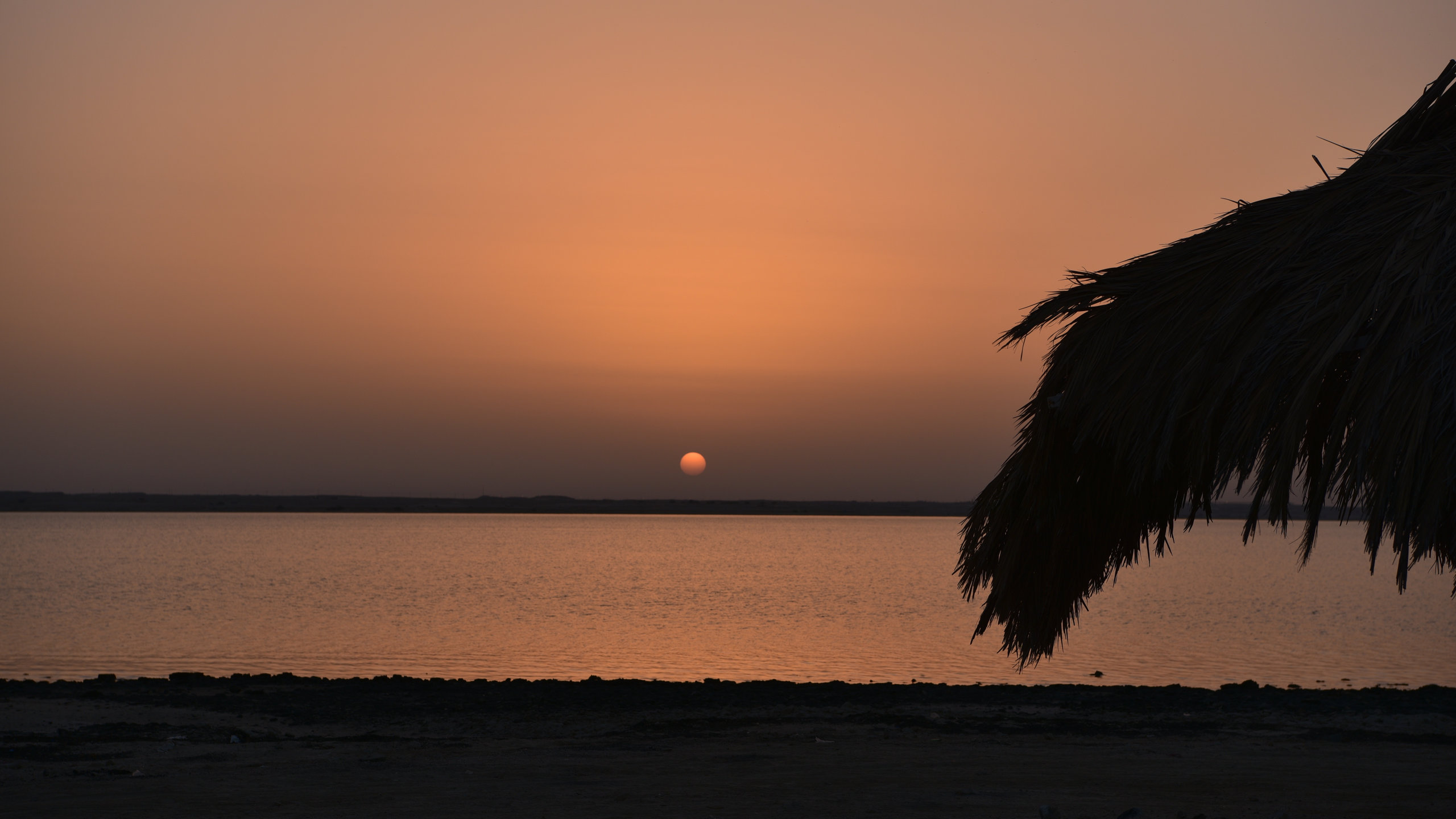 Zekreet Beach