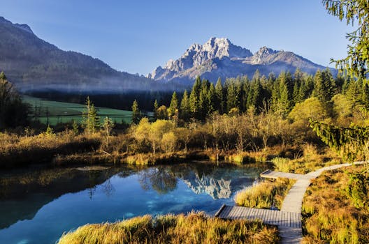 Zelenci Nature Reserve