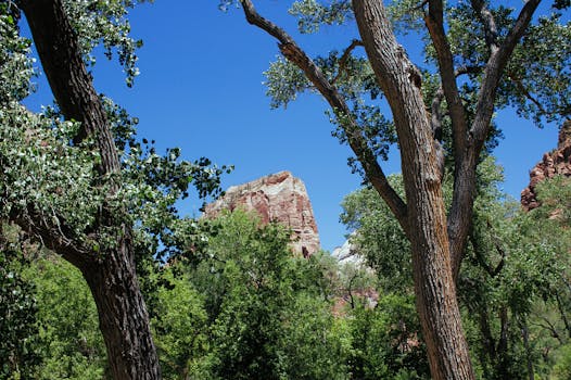 Zion National Park