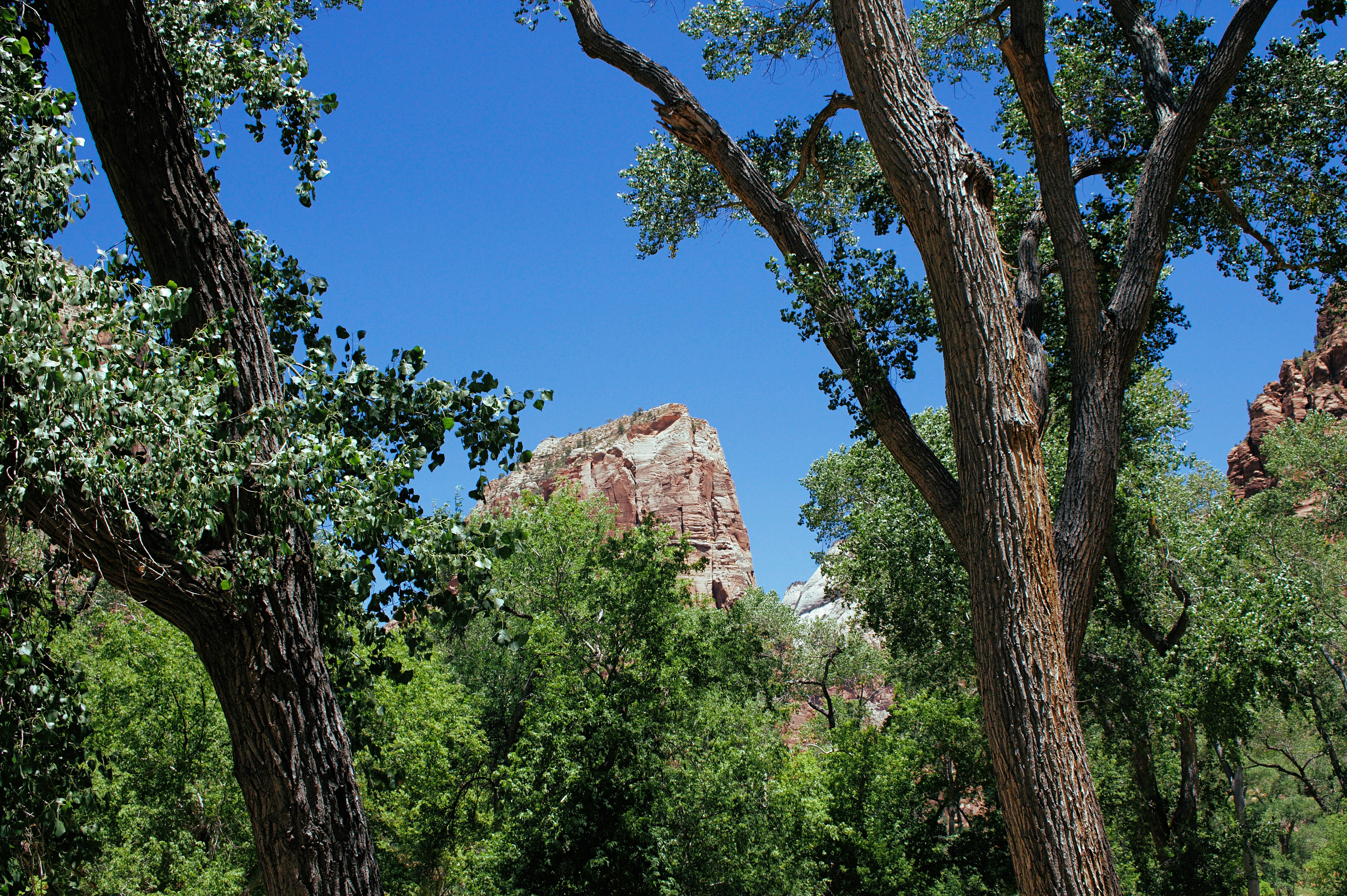 Zion National Park (Second Visit)