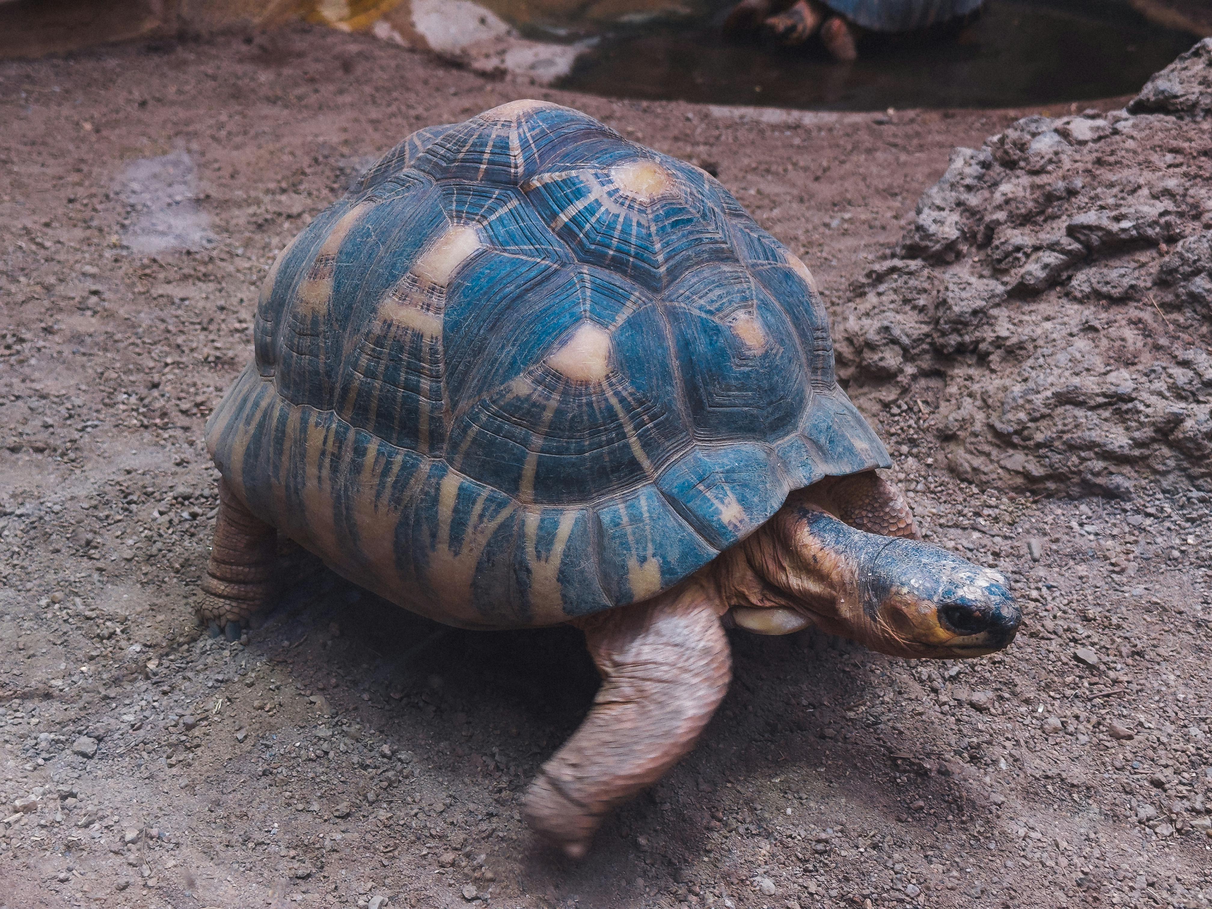 Zoo am Meer